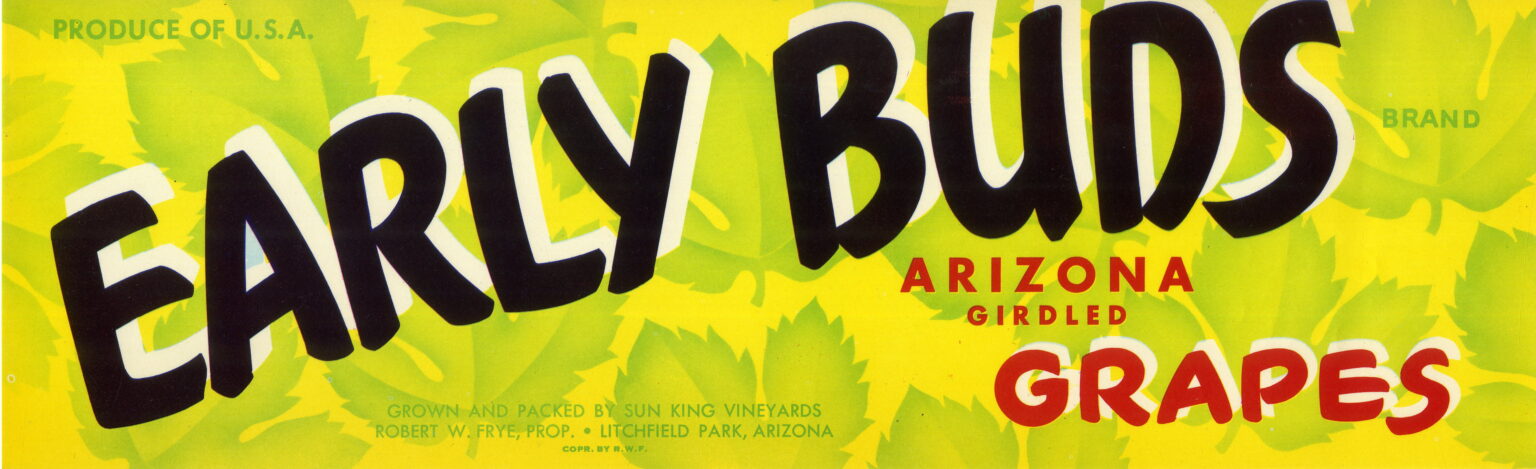 Early Buds